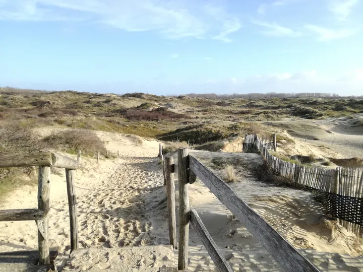 De Panne (België)